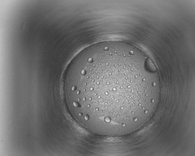 X0000069380835200605262048