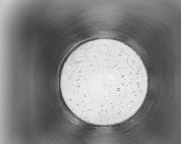 X0000069380836200605262048