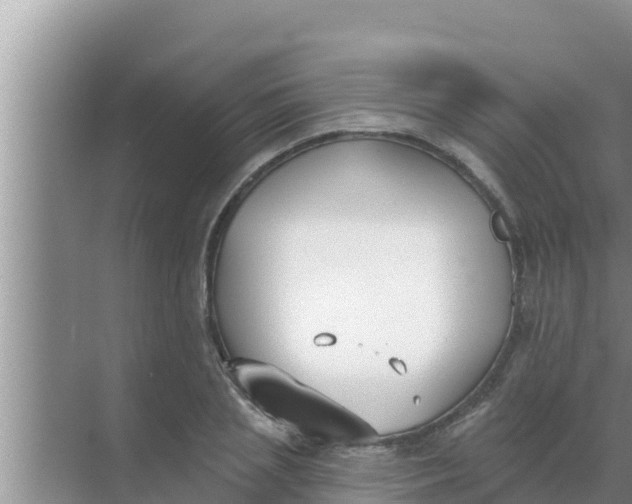 X0000069380837200605262048