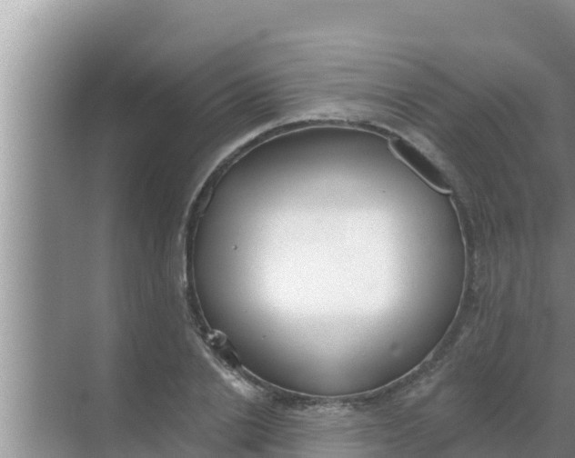 X0000069380838200605262048