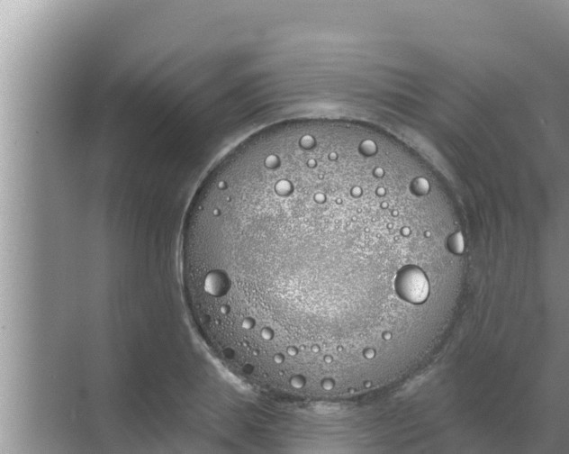 X0000069380839200605262048