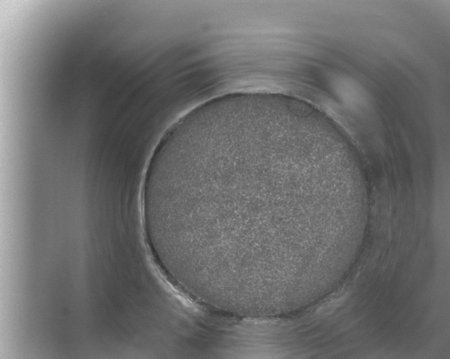 X0000069380840200605262048