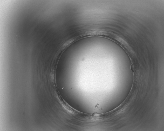 X0000069380841200605262048