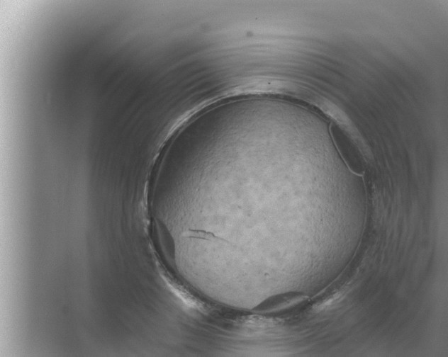 X0000069380842200605262048