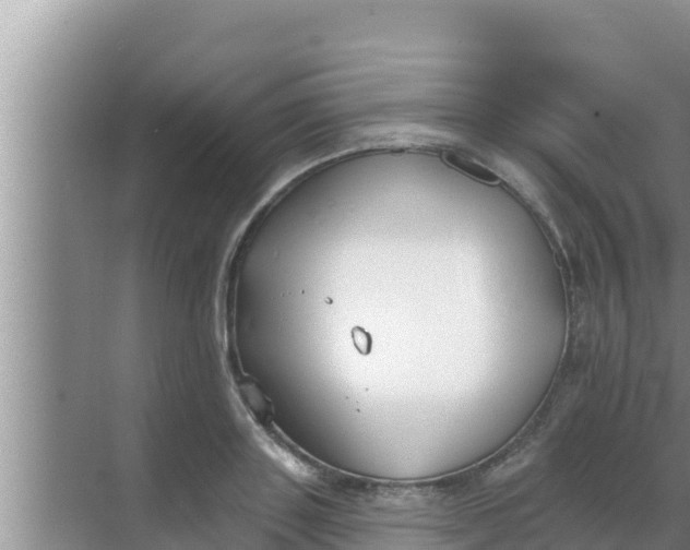 X0000069380843200605262048