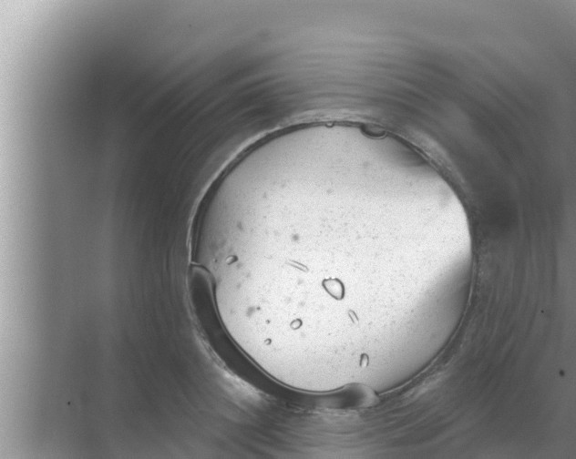 X0000069380844200605262048