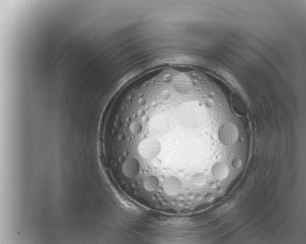 X0000069380845200605262048