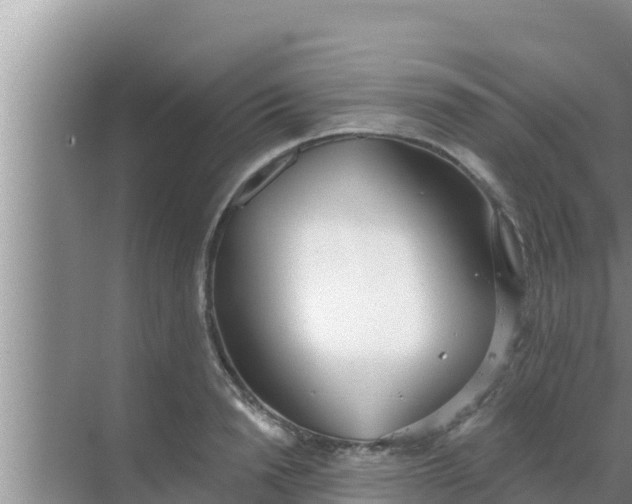 X0000069380846200605262048