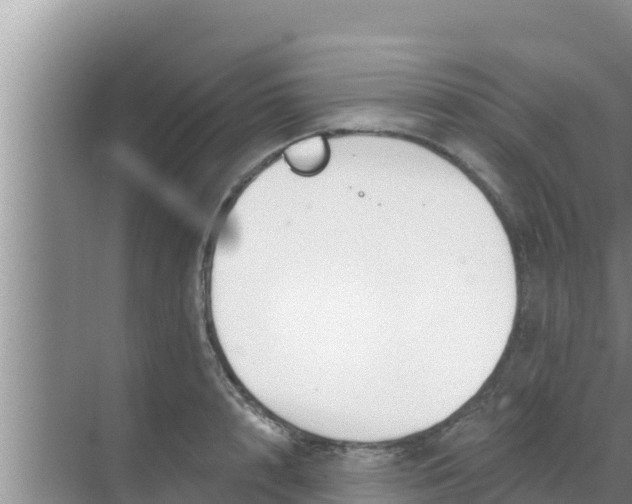 X0000069380848200605262048