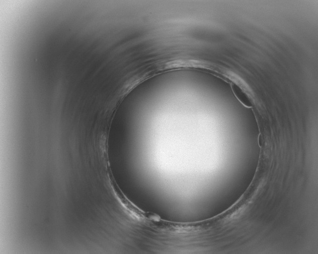 X0000069380849200605262048