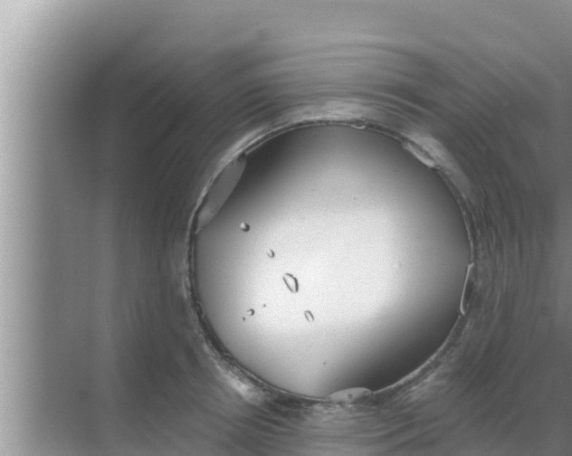 X0000069380850200605262048