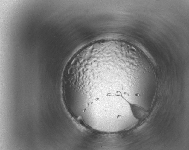 X0000069380853200605262048