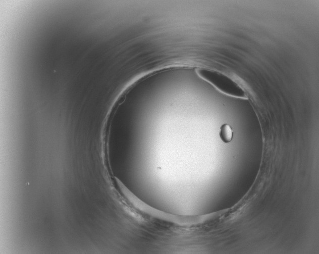 X0000069380854200605262048