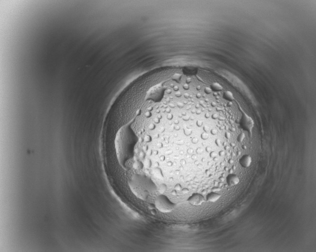 X0000069380855200605262048