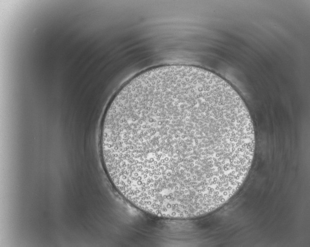 X0000069380856200605262048