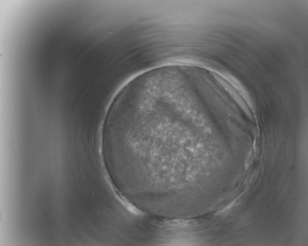 X0000069380862200605262049