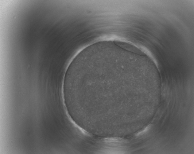 X0000069380863200605262049