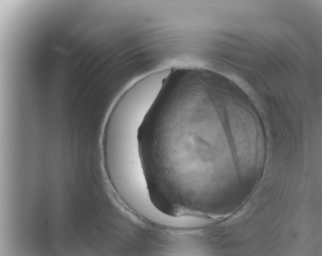 X0000069380864200605262049