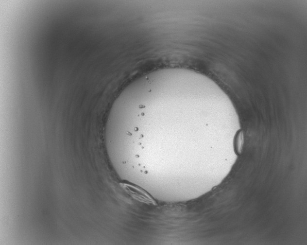 X0000069380865200605262048