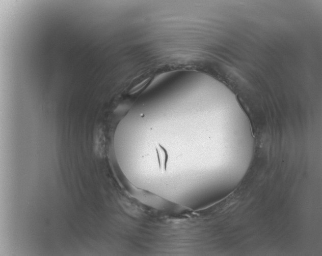 X0000069380868200605262048