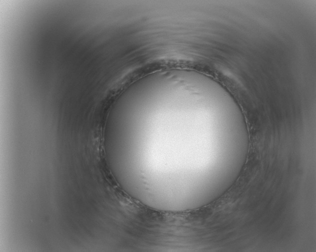 X0000069380870200605262048