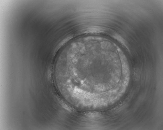 X0000069380874200605262048