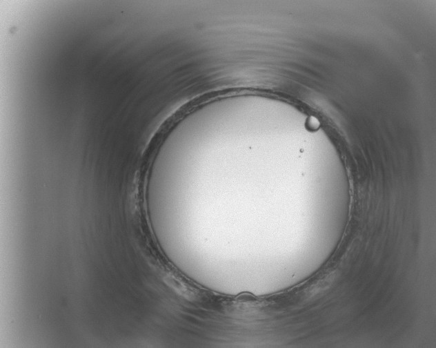 X0000069380875200605262048