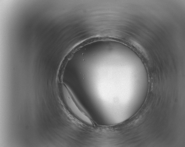 X0000069380876200605262048