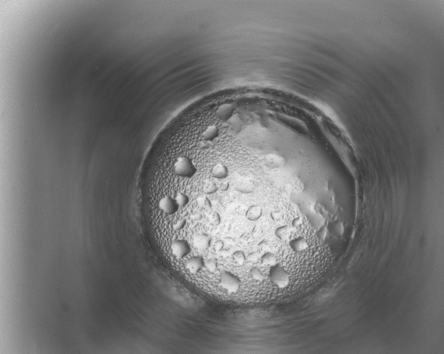 X0000069380879200605262048