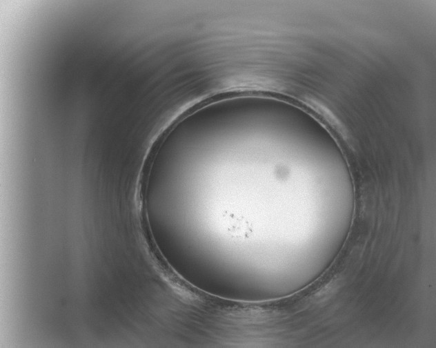 X0000069380885200605262047