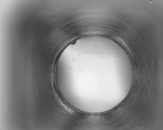 X0000069380890200605262047