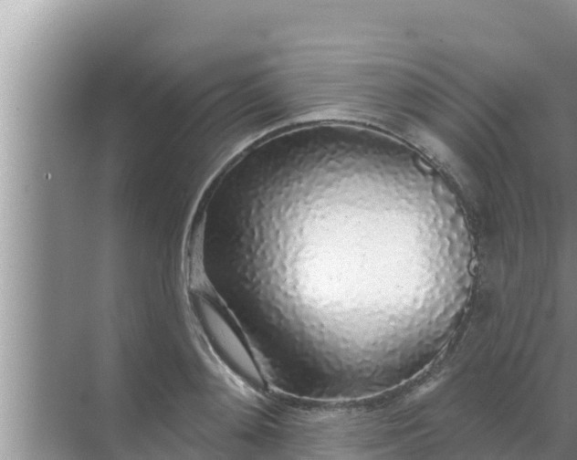 X0000069380892200605262047