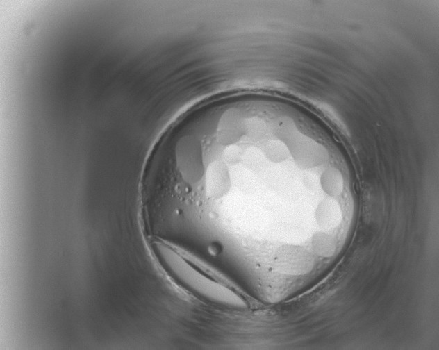 X0000069380895200605262047