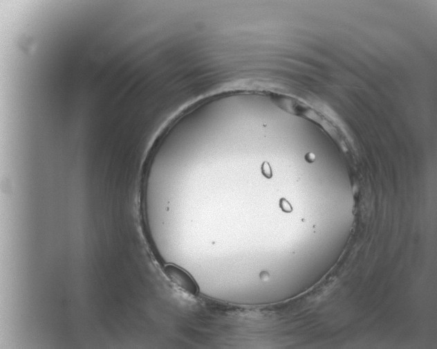 X0000069380896200605262047