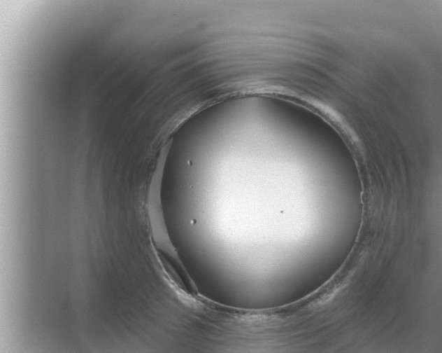 X0000069380897200605262047