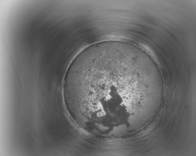 X0000069380899200605262047