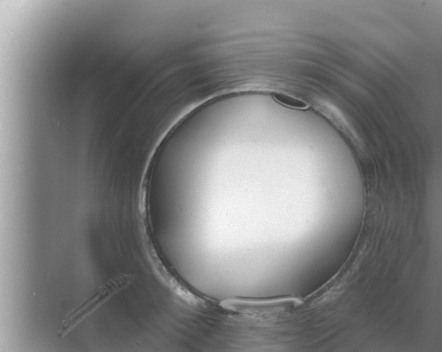 X0000069380900200605262047