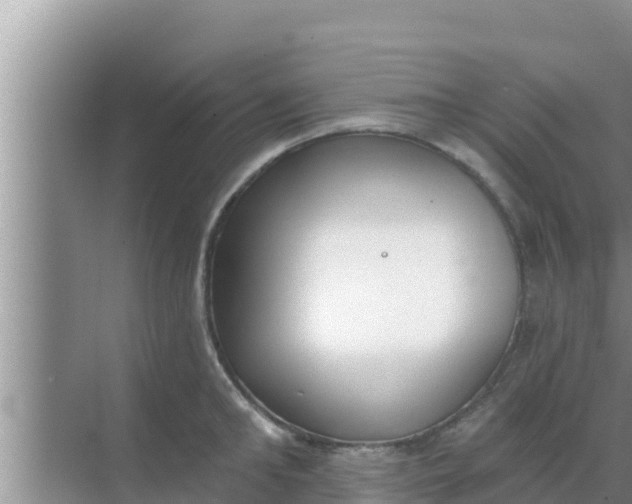 X0000069380902200605262047