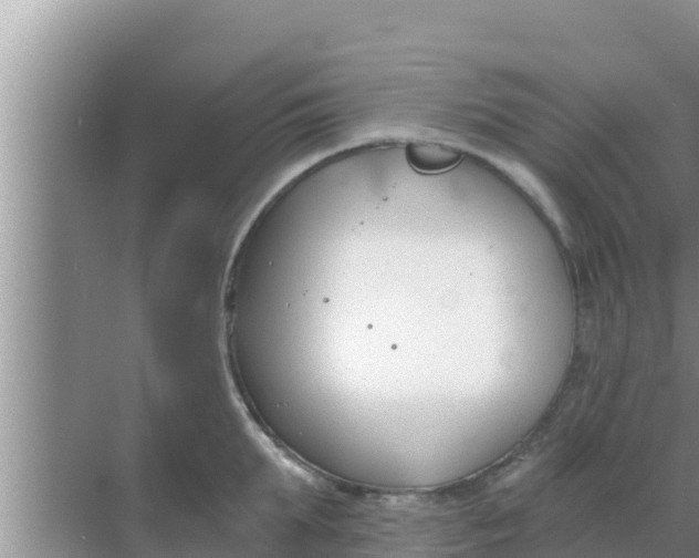 X0000069380903200605262047