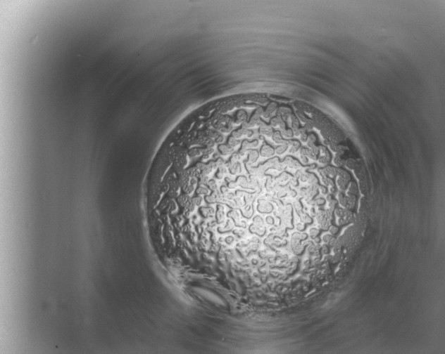 X0000069380907200605262047