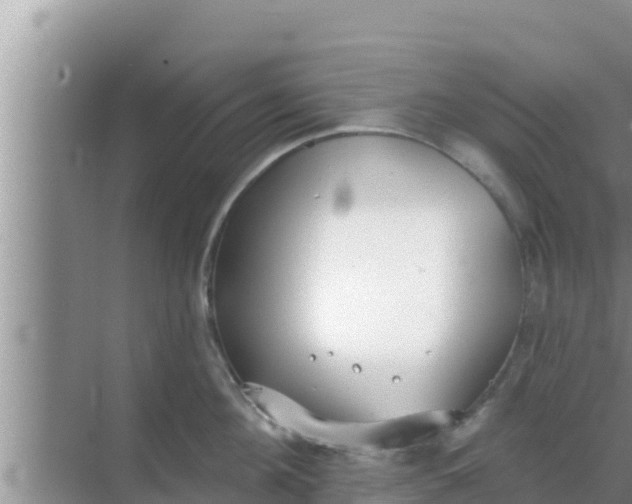 X0000069380908200605262047