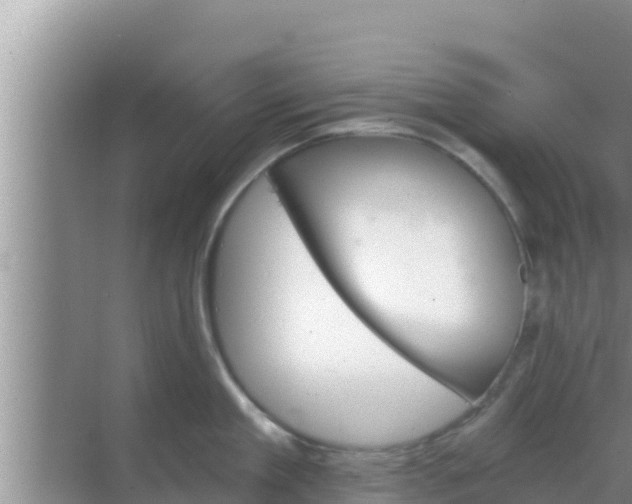 X0000069380909200605262047