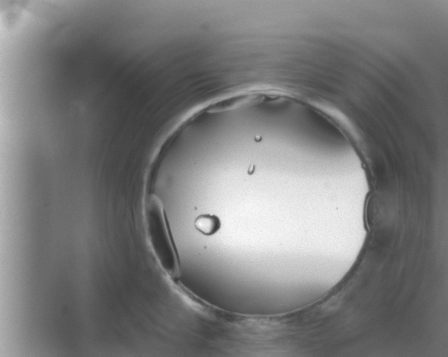 X0000069380910200605262047