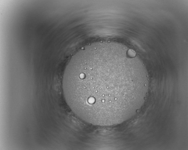 X0000069380917200605262046