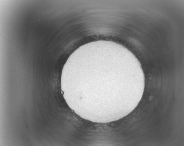 X0000069380918200605262046