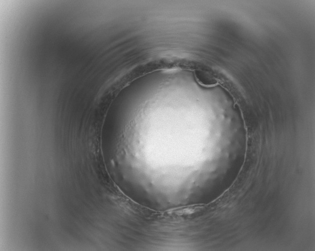 X0000069380919200605262046