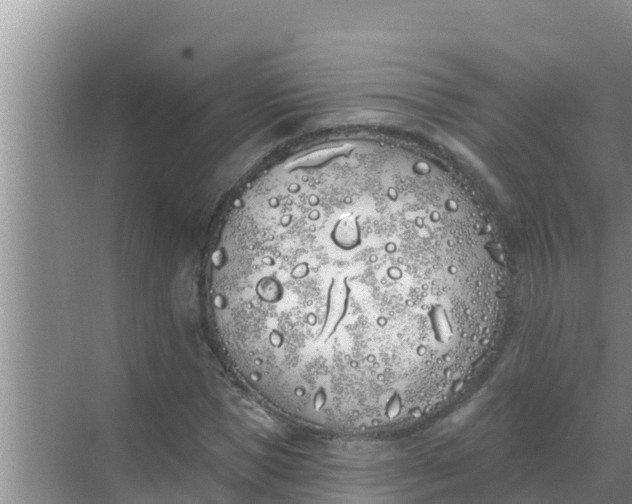 X0000069380921200605262046