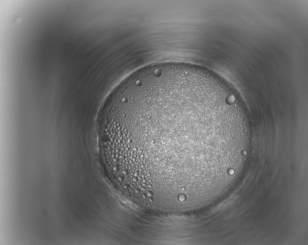 X0000069380925200605262046