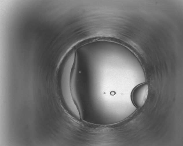 X0000069380926200605262046