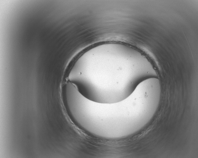 X0000069380936200605262047